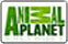 Логотип ТВ-канала Animal Planet